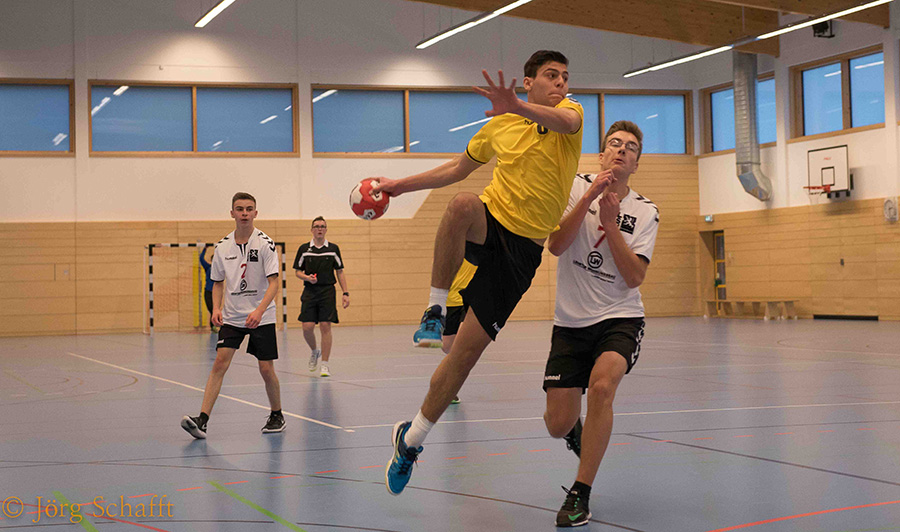 Handball 2 web